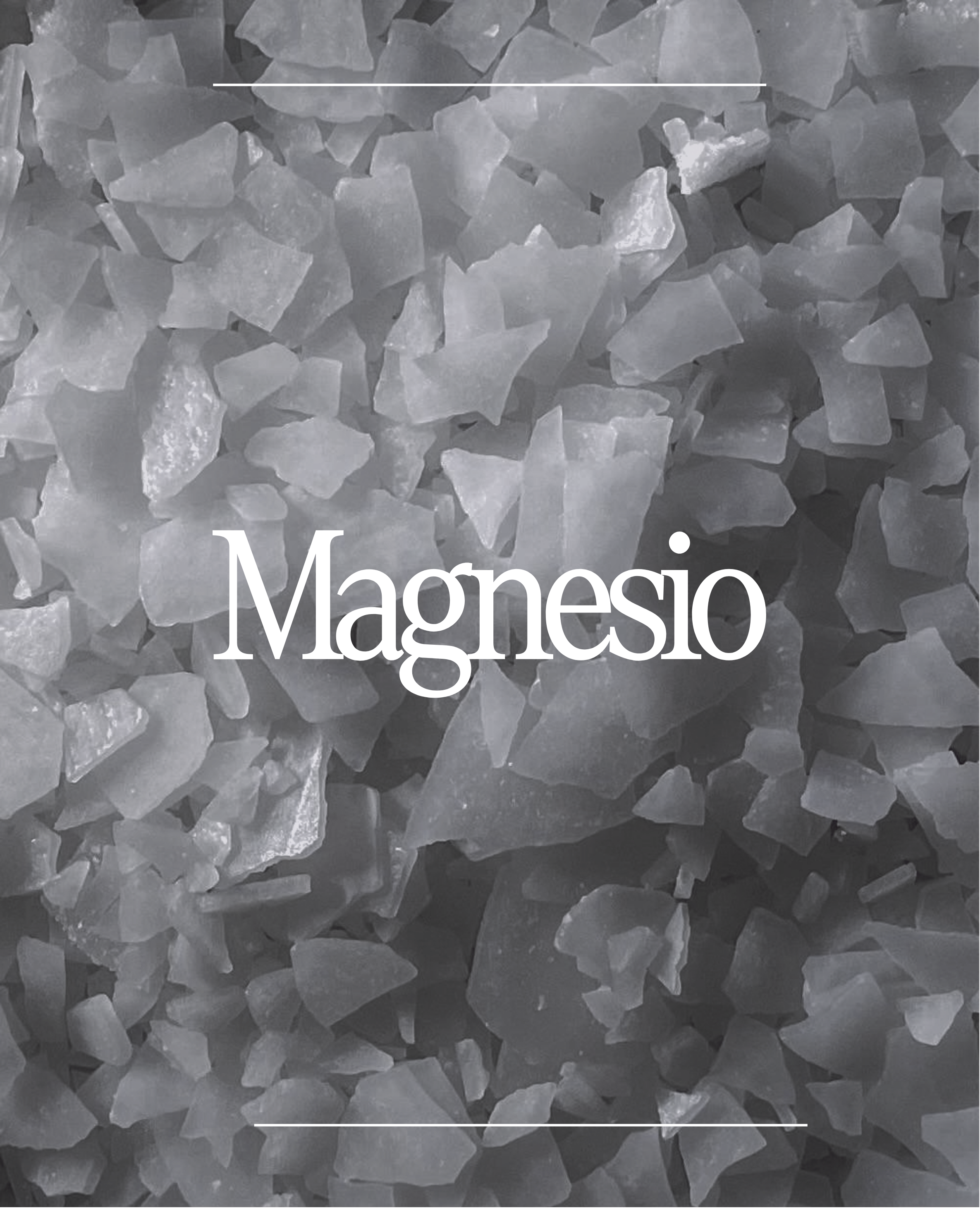 ¿Por qué Magnesio?